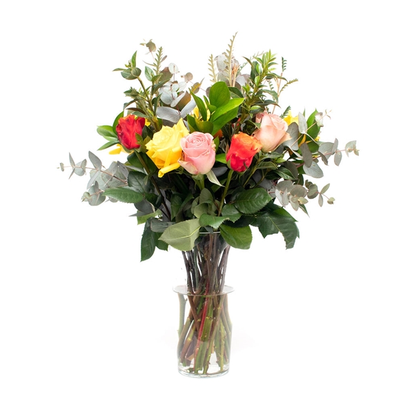 Bright Rose in a