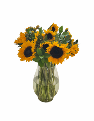 Sun Flowers