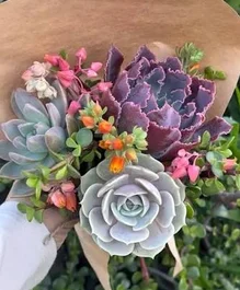 Cactus Bouquet - Wedding